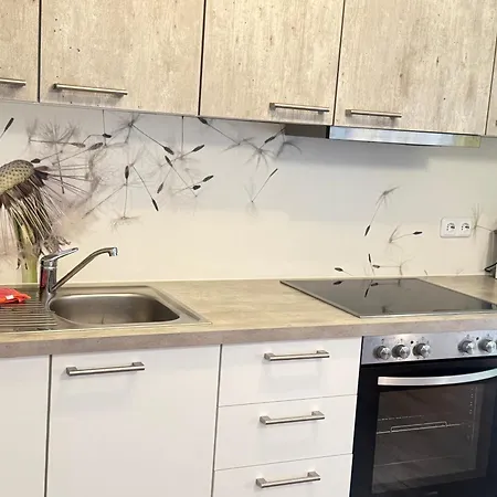 Ferienwohnung- Stabhalterhof Freiamt