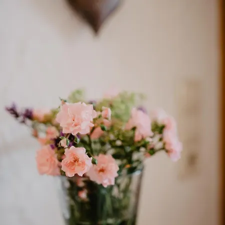 Ferienwohnung- Stabhalterhof Farm stay Freiamt