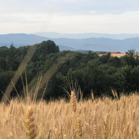 Ferienwohnung- Stabhalterhof