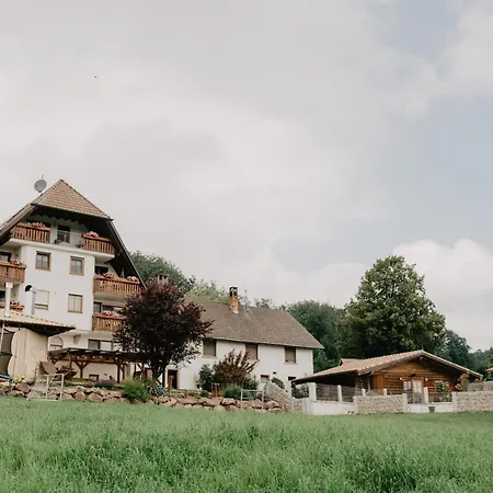 Ferienwohnung- Stabhalterhof * Freiamt
