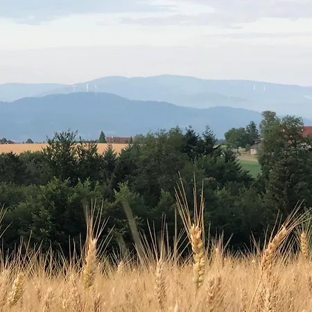 Ferienwohnung- Stabhalterhof Farm stay Freiamt