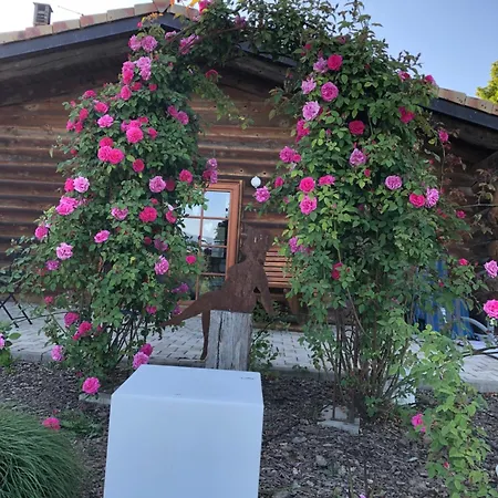 Ferienwohnung- Stabhalterhof Freiamt