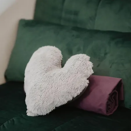 Ferienwohnung- Stabhalterhof * Freiamt