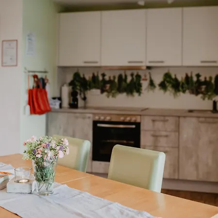 Ferienwohnung- Stabhalterhof * Freiamt